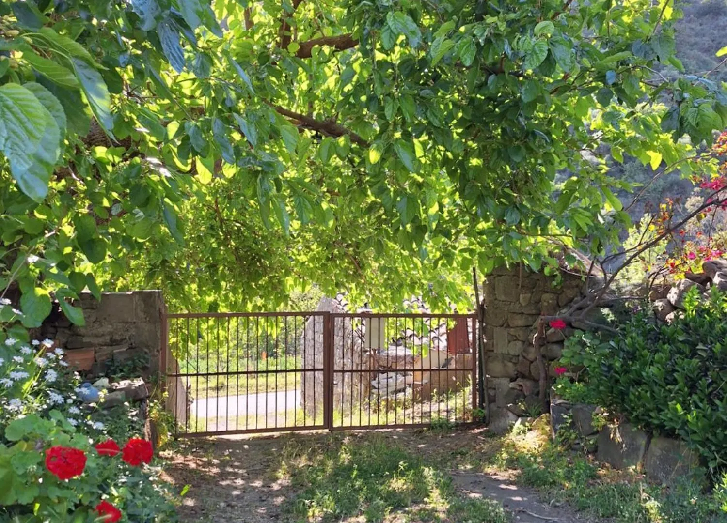 Hébergement de vacances Casa Vacanze Geppy E Minu Gole Alcantara Motta Camastra