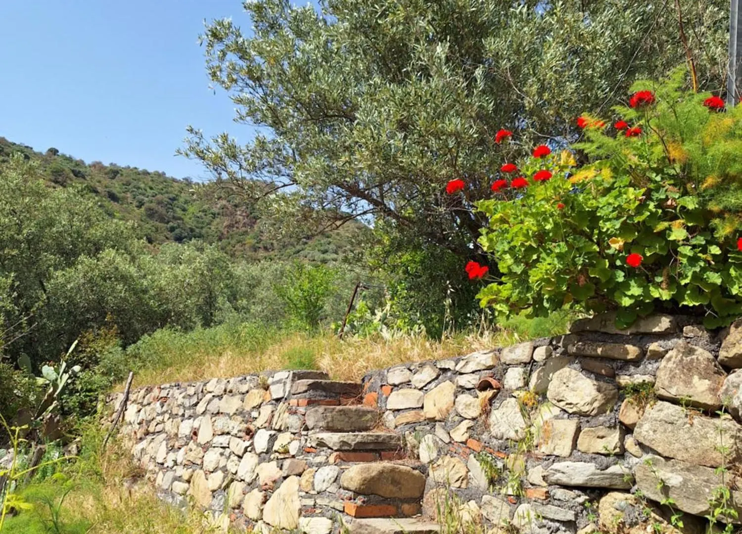 Casa Vacanze Geppy E Minu Gole Alcantara Motta Camastra 0*,  Italie